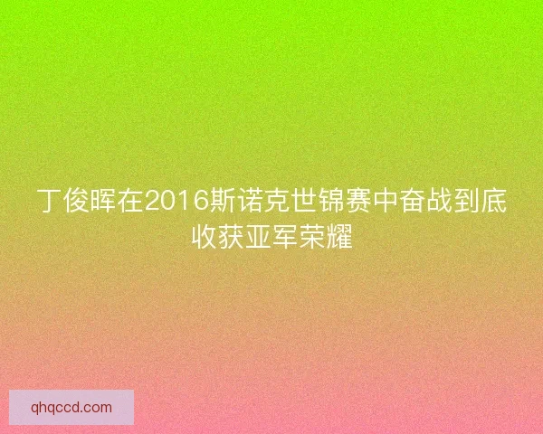 丁俊晖在2016斯诺克世锦赛中奋战到底收获亚军荣耀 丁俊晖在2016斯诺克世锦赛中奋战到底收获亚军荣耀